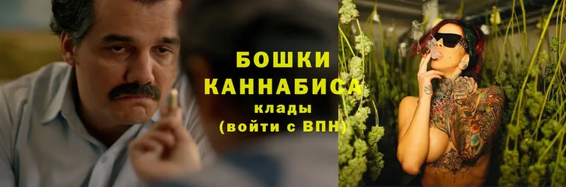 Бошки марихуана OG Kush  Гвардейск 